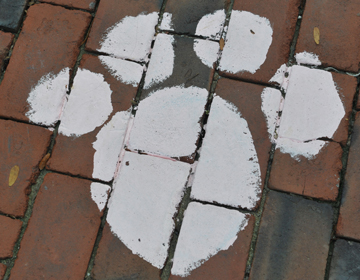 Tiger paw