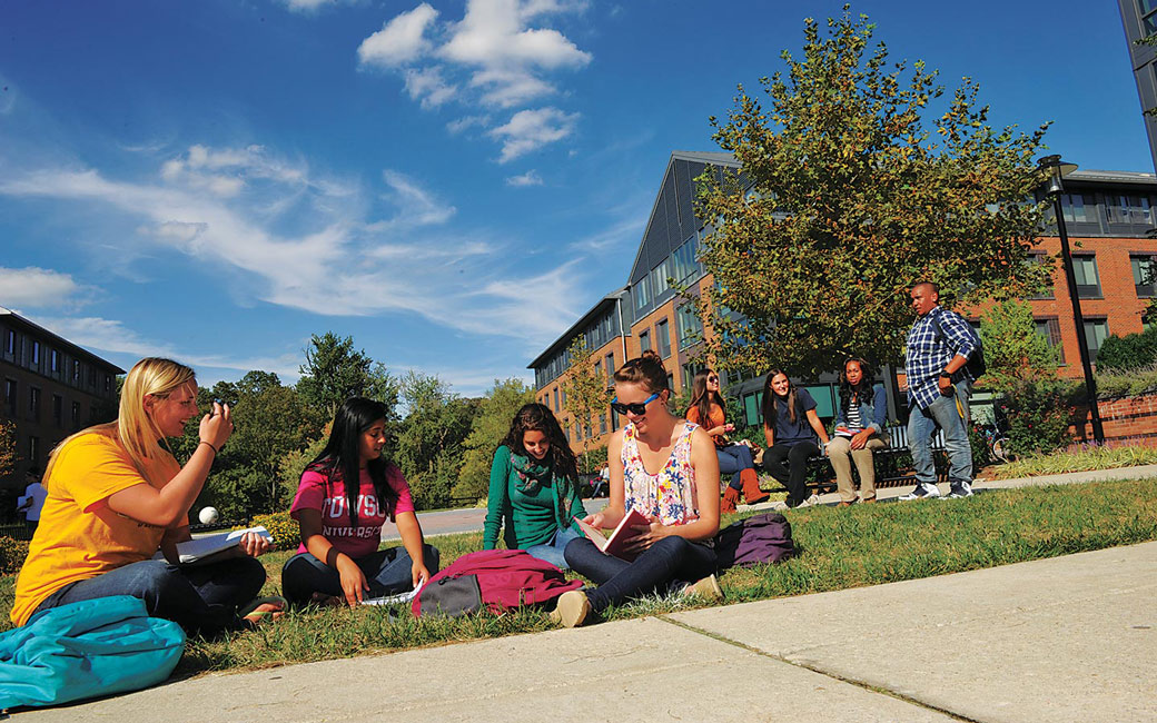 Several students sitting outside on the grass studying