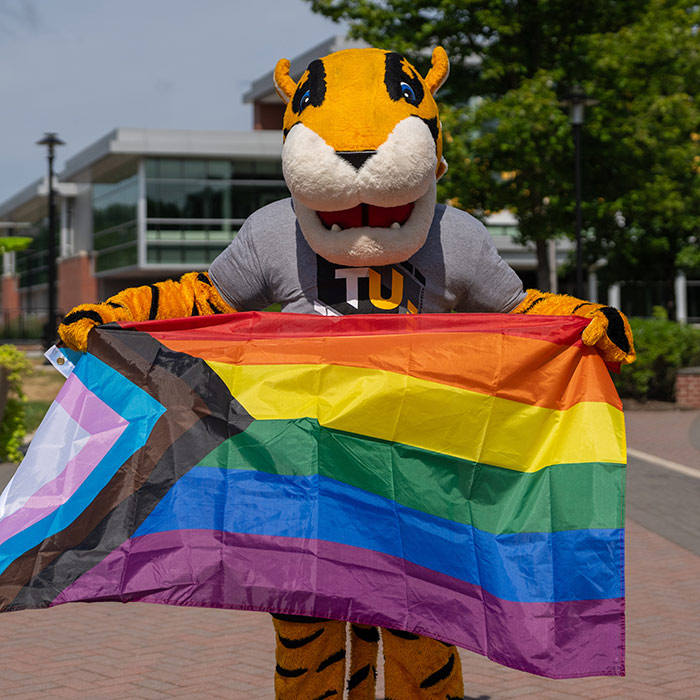 pride flag
